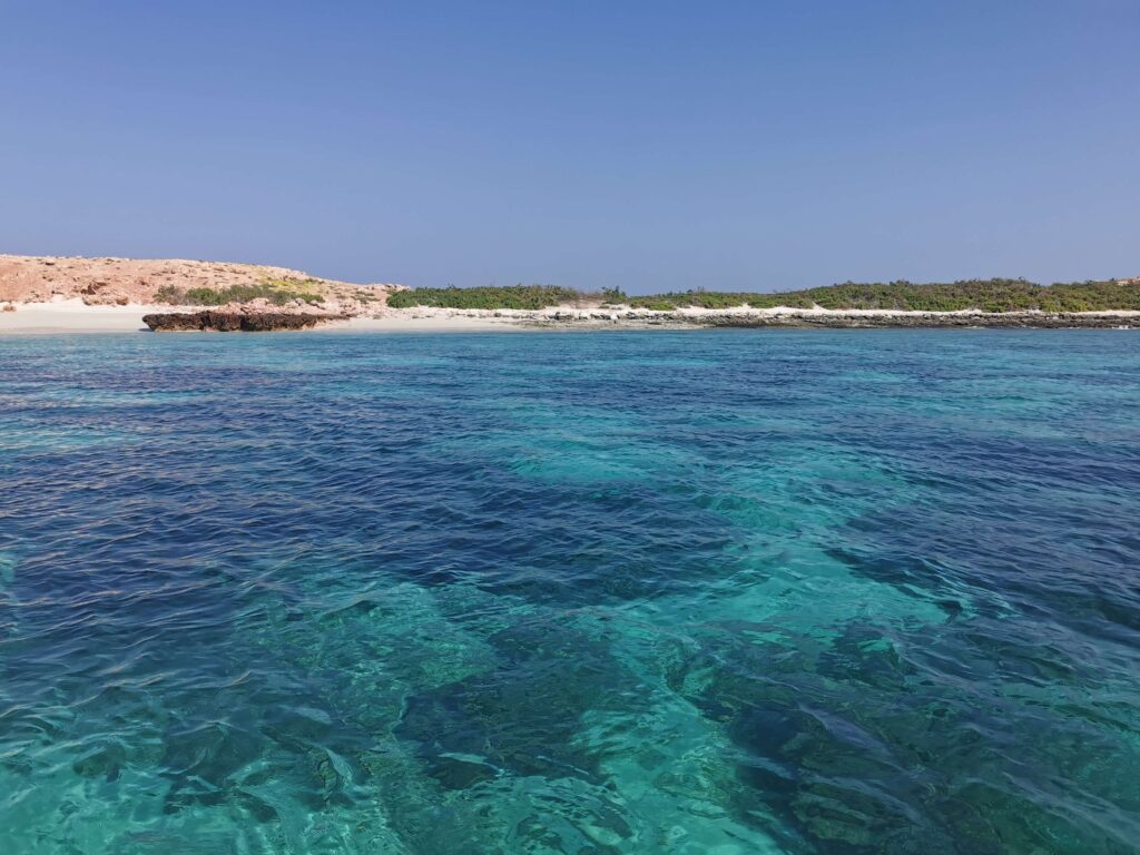 diving in oman