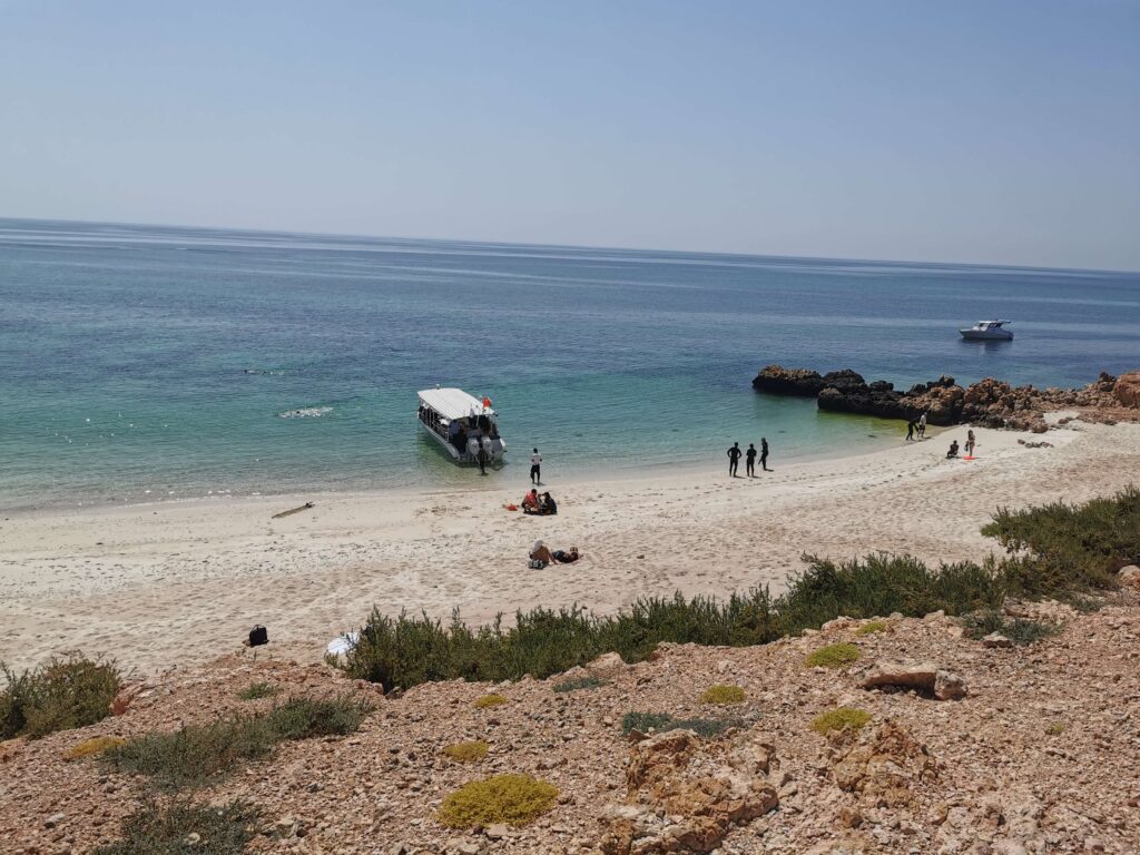 diving in oman