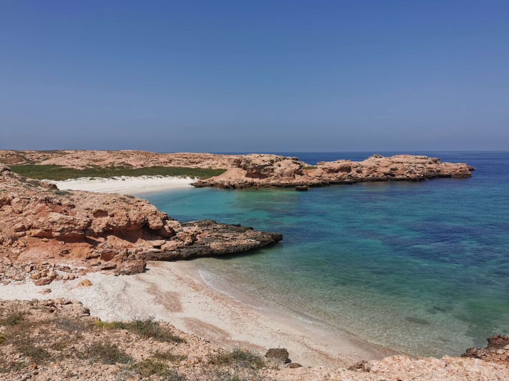 diving in oman