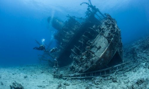 diving in oman